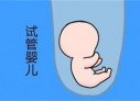 培养上海捐卵宝宝艺术细胞的小技巧