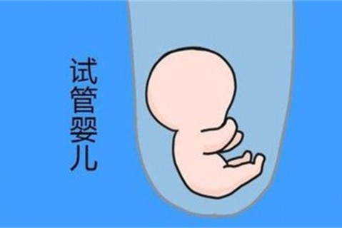 培养上海捐卵宝宝艺术细胞的小技巧